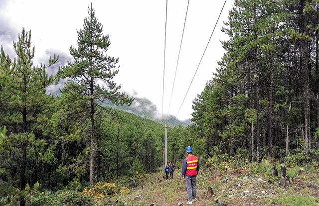 无人机红外测温巡逻,助力山林排查隐患(图1) 无人机红外测温巡逻,助力山林排查隐患(图1)